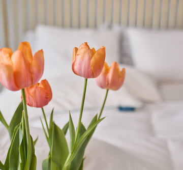 Spring Refresh: Liven Up Your Living Space with These Revitalizing Tips