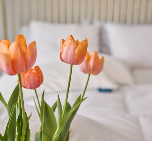 Spring Refresh: Liven Up Your Living Space with These Revitalizing Tips