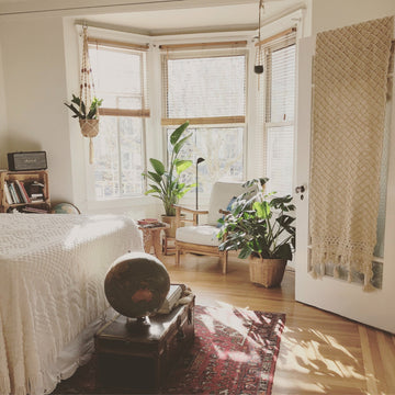 A room with house plants.