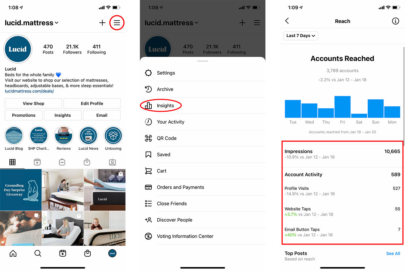 Instagram Insights Screenshot Example