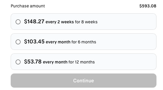 Payment plan options for different amounts and timeframes